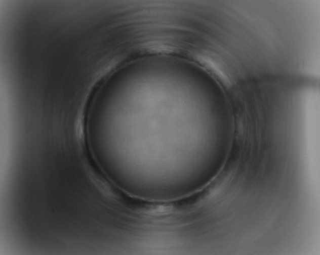 X0000093220398200710101349