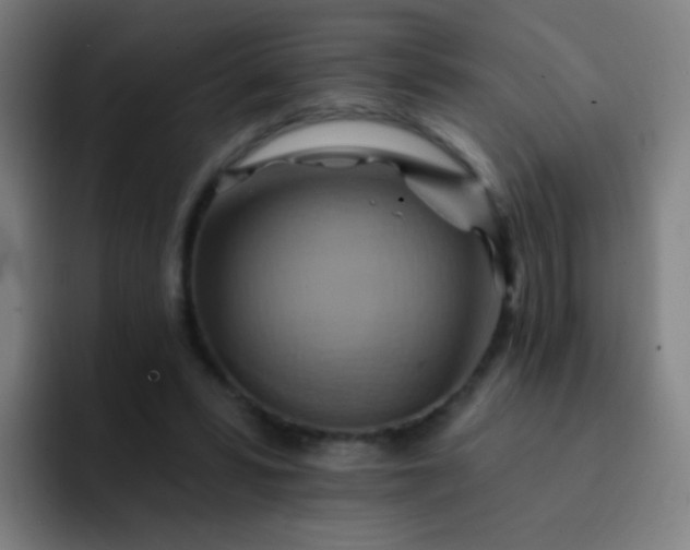 X0000093220399200710101349