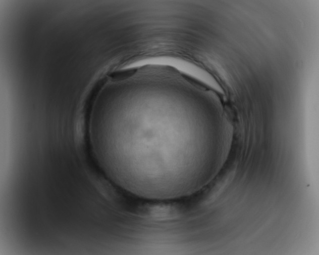 X0000093220400200710101349