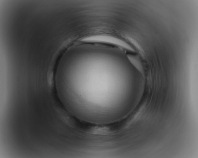 X0000093220403200710101349