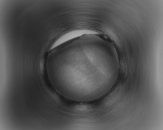 X0000093220404200710101349