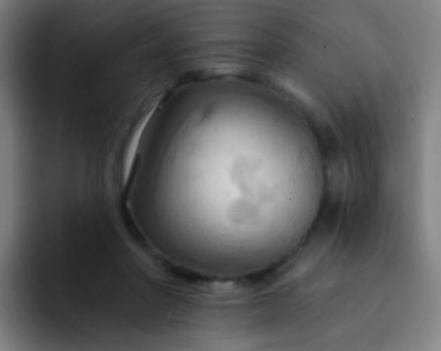 X0000093220406200710101349