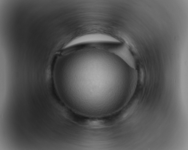 X0000093220407200710101349