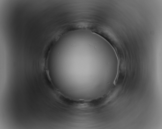 X0000093220411200710101349