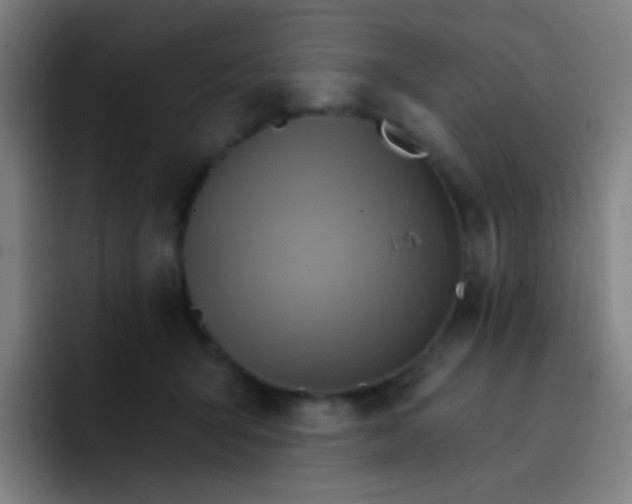 X0000093220415200710101349