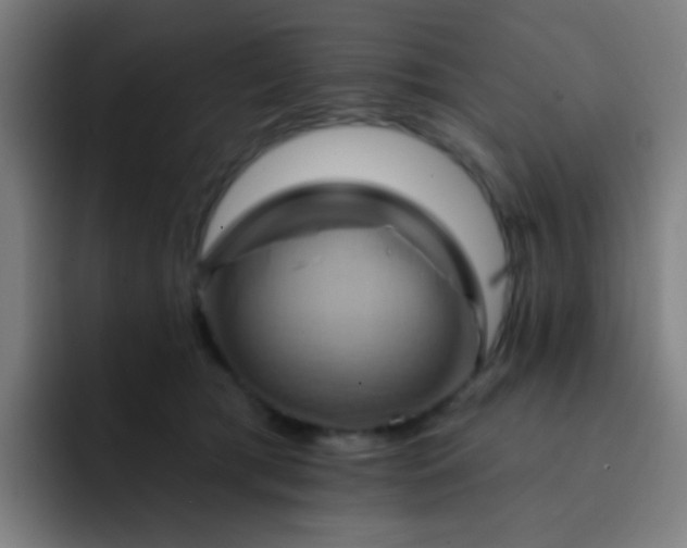 X0000093220417200710101349