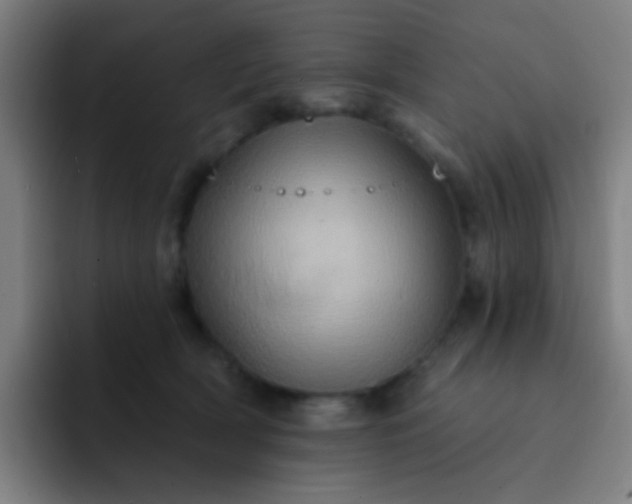 X0000093220418200710101349