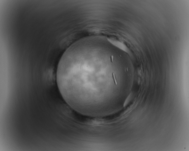 X0000093220420200710101349