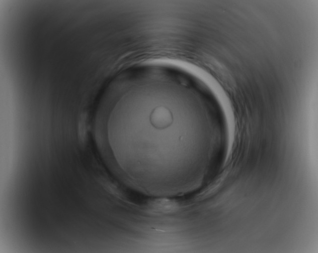 X0000093220421200710101349