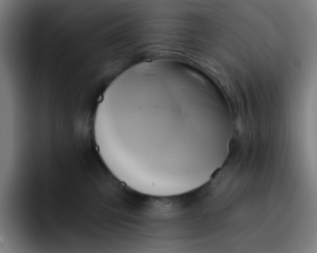 X0000093220423200710101349