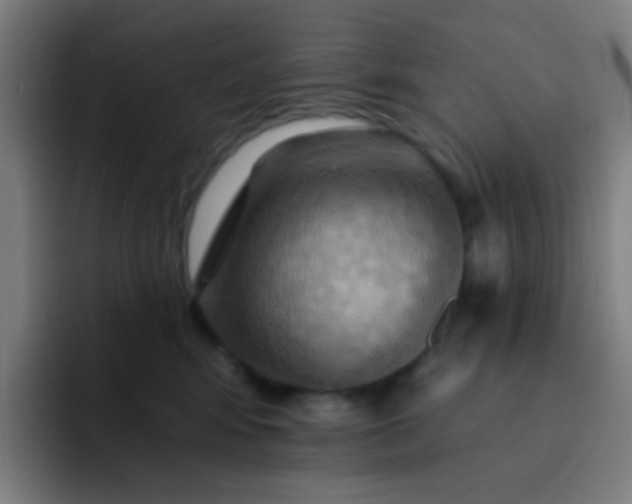 X0000093220424200710101349