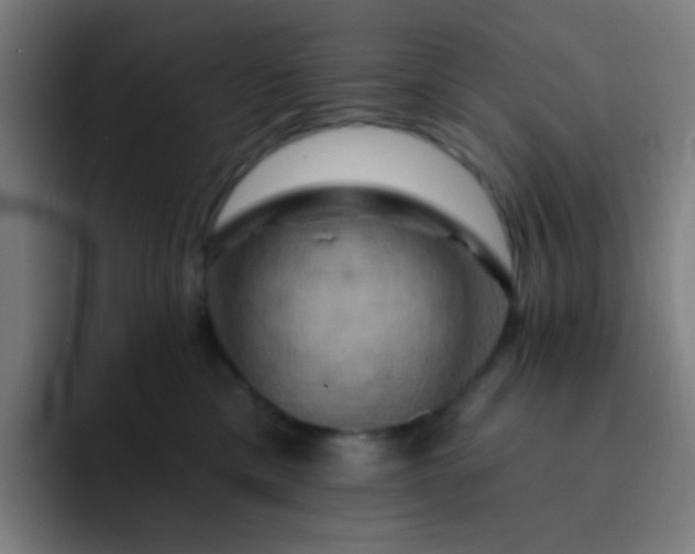 X0000093220425200710101348