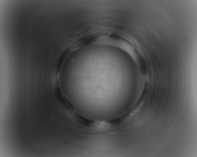 X0000093220429200710101348