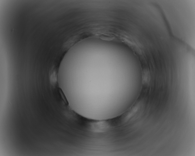 X0000093220431200710101348