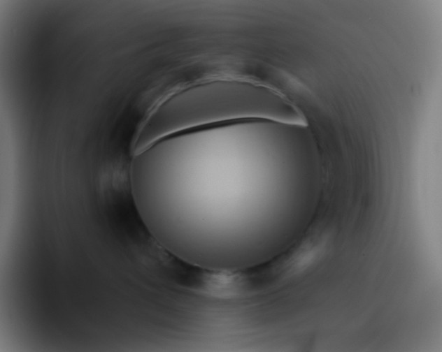 X0000093220432200710101348