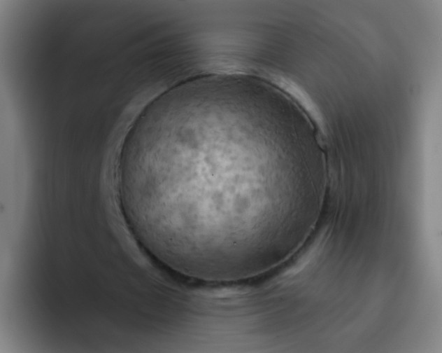 X0000093220433200710101348