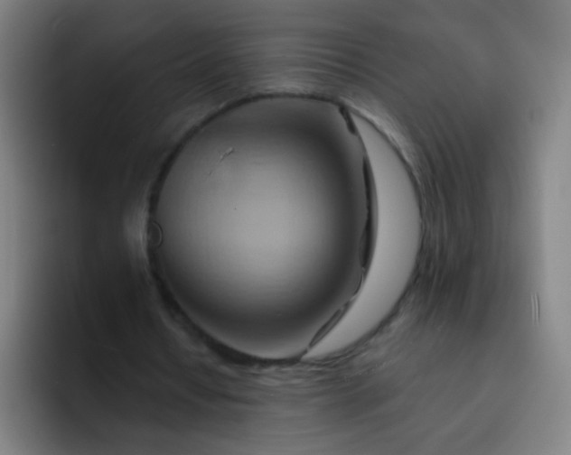 X0000093220434200710101348