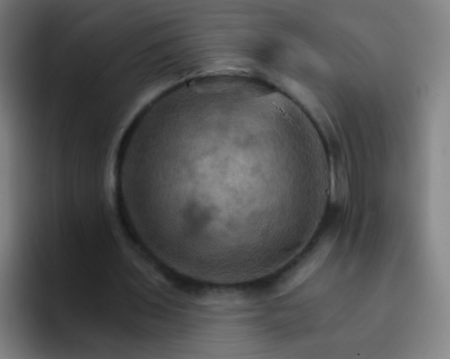 X0000093220435200710101348