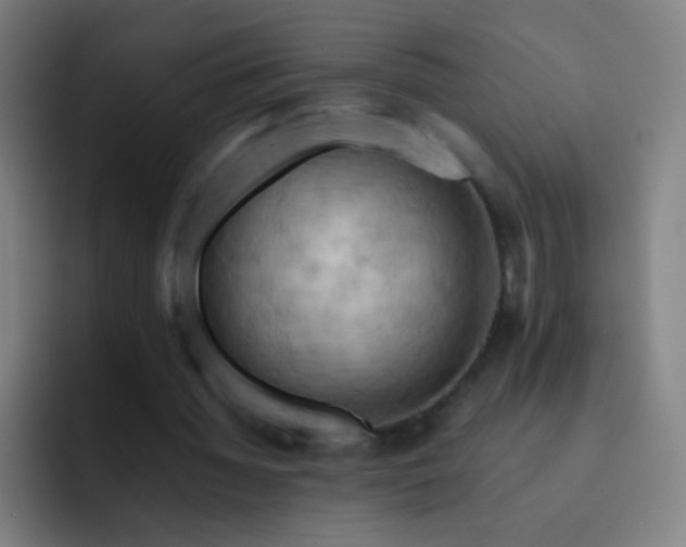 X0000093220436200710101348