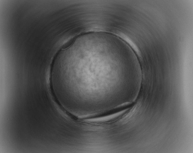 X0000093220437200710101348