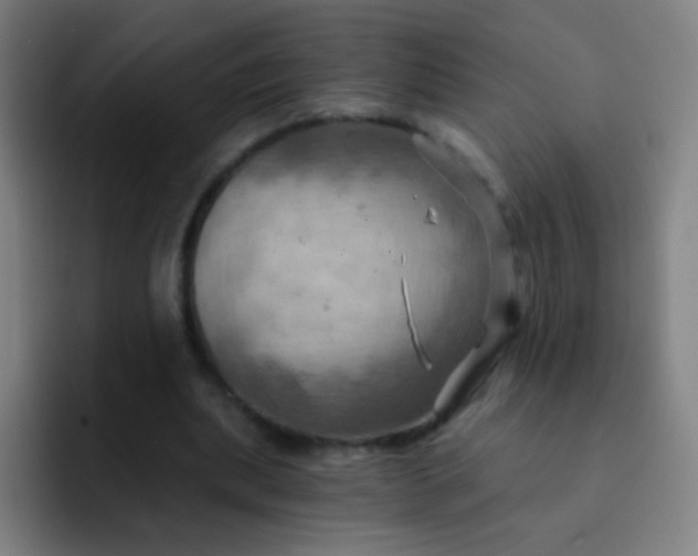 X0000093220439200710101348