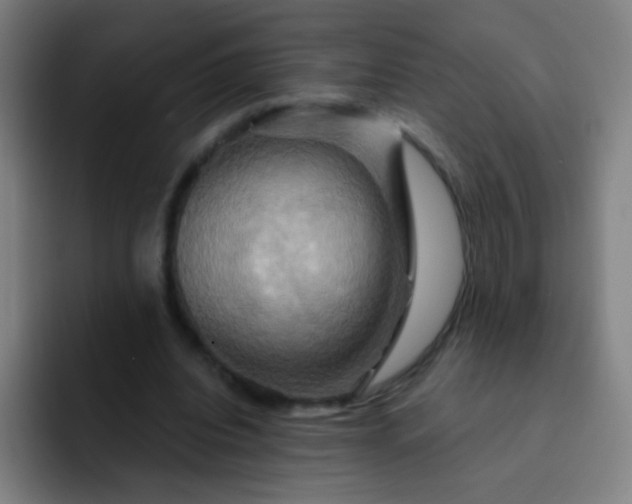 X0000093220440200710101348