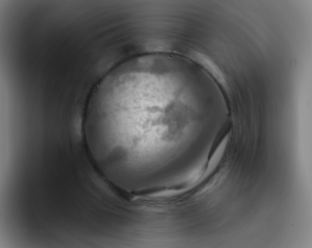 X0000093220441200710101348