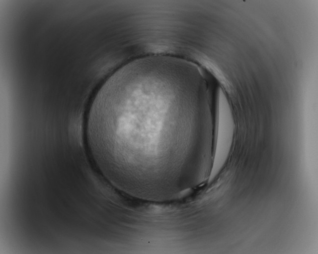 X0000093220442200710101348