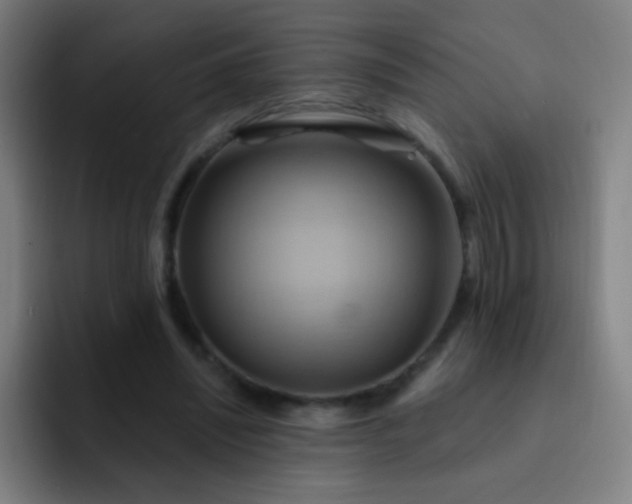 X0000093220444200710101348