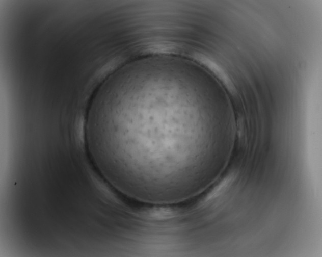 X0000093220445200710101348