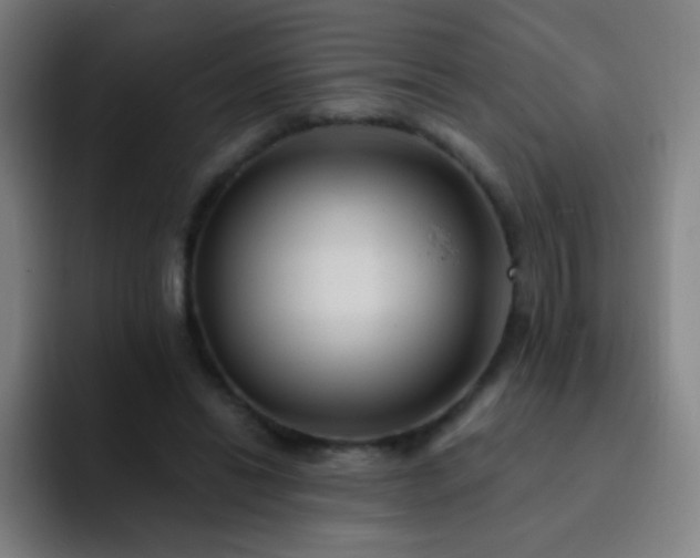 X0000093220446200710101348