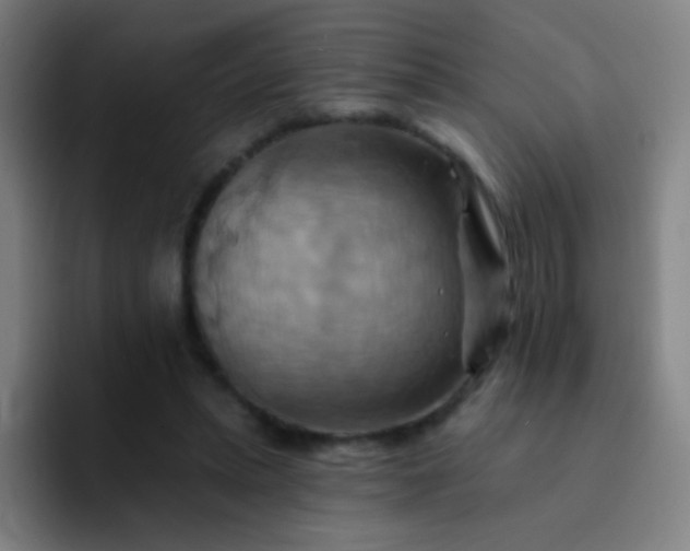 X0000093220447200710101348