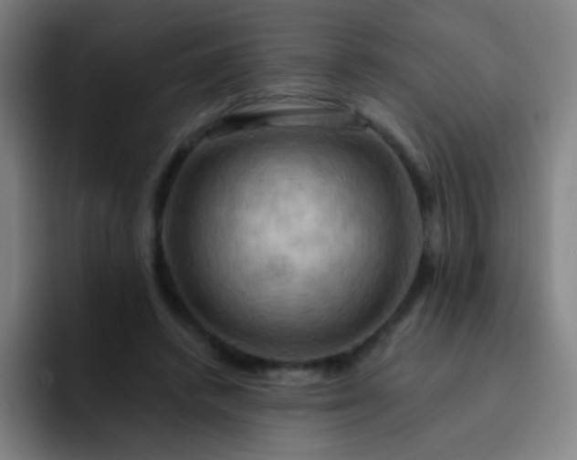 X0000093220448200710101348