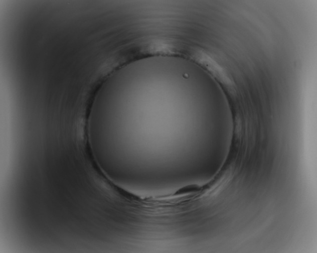 X0000093220449200710101348