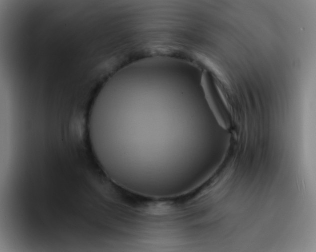 X0000093220451200710101348