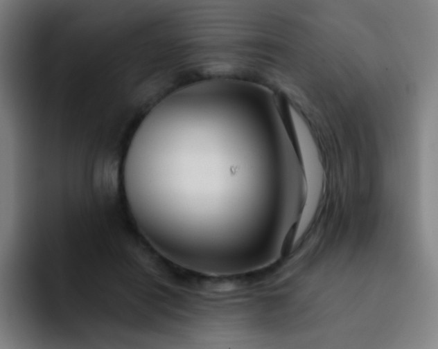 X0000093220454200710101348