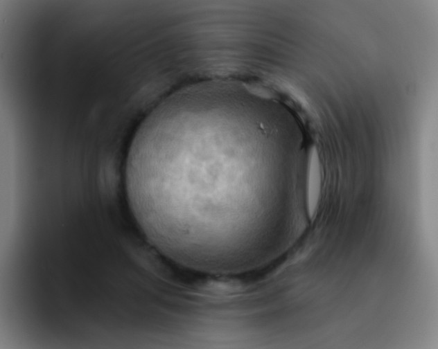 X0000093220455200710101348