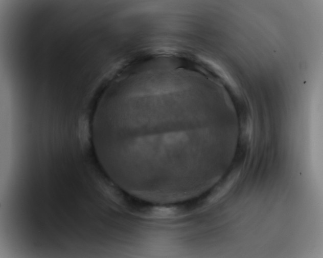 X0000093220457200710101348