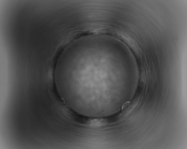 X0000093220461200710101348