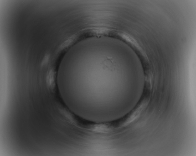 X0000093220462200710101348