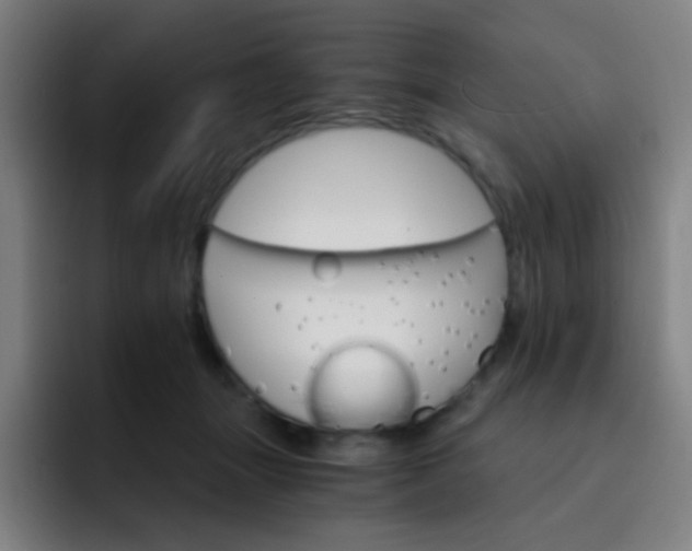 X0000093220463200710101348