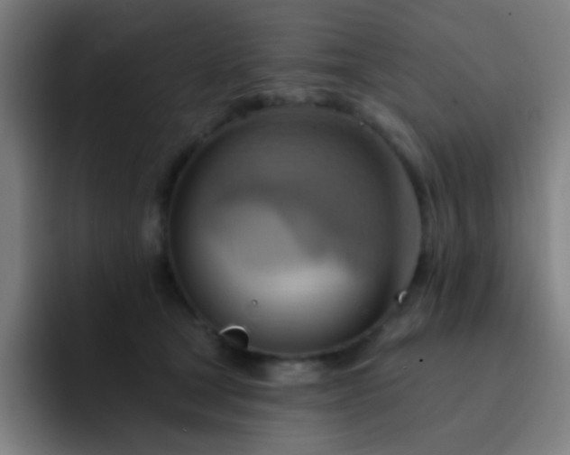 X0000093220465200710101348