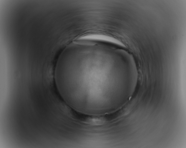 X0000093220466200710101348