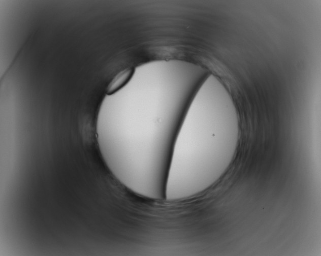 X0000093220469200710101348