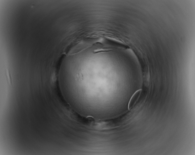 X0000093220472200710101348