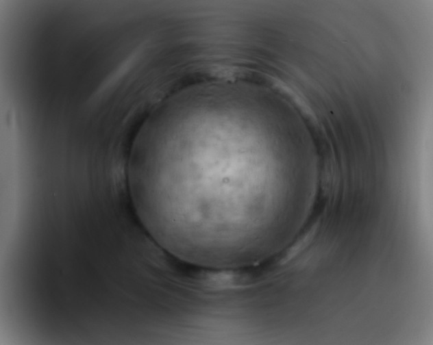 X0000093220473200710101348