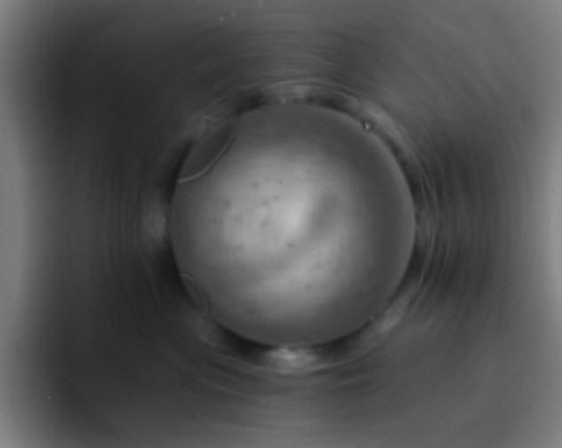 X0000093220477200710101348