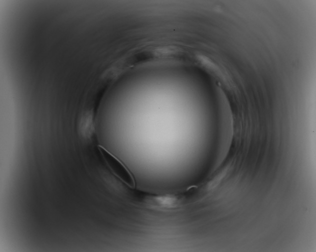 X0000093220478200710101348