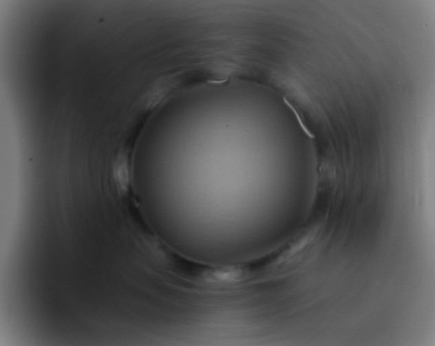 X0000093220479200710101348