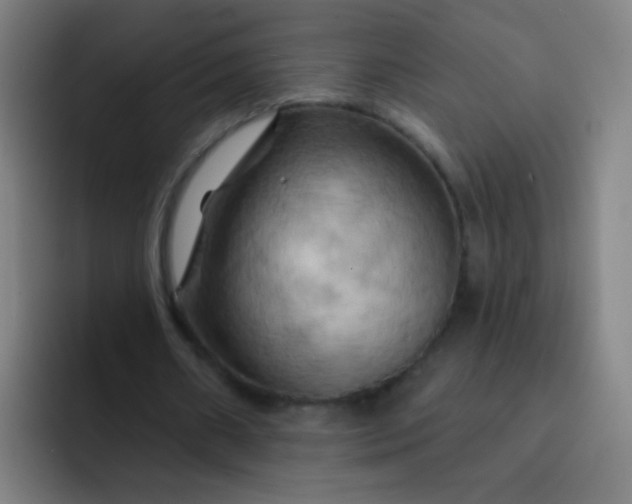 X0000093220482200710101348